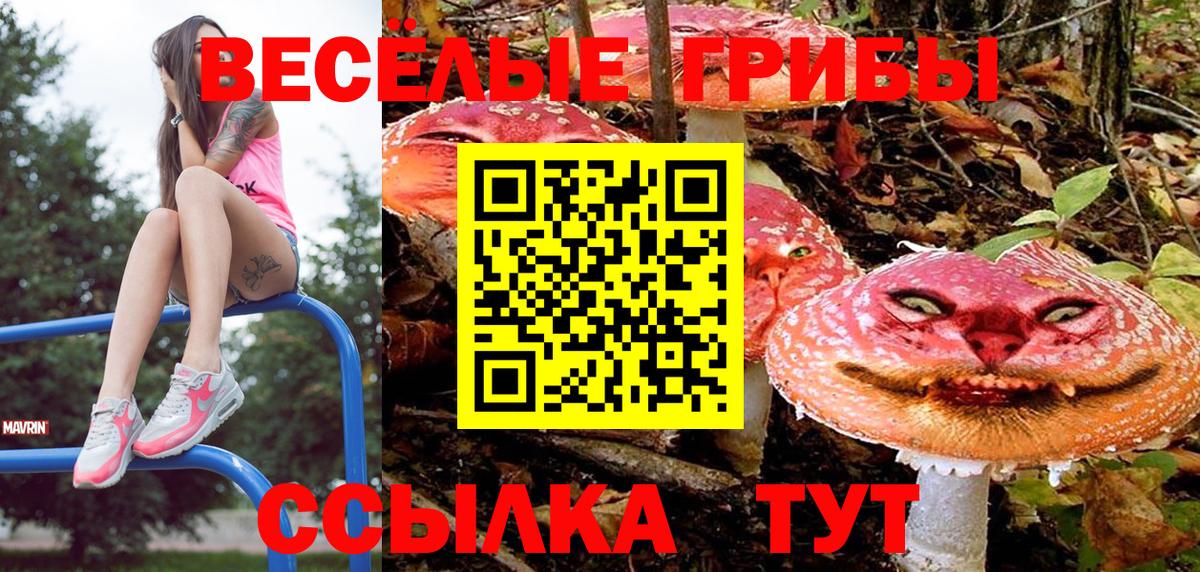 Галлюциногенные грибы MAGIC MUSHROOMS  Псилоцибиновые грибы ЛСД  Вход с VPN  Унеча 